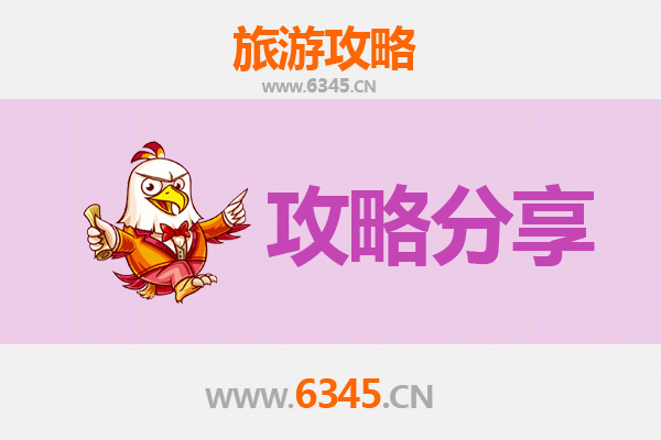 深圳罗湖出发湄洲岛旅游攻略：跟团 vs 自由行深度解析